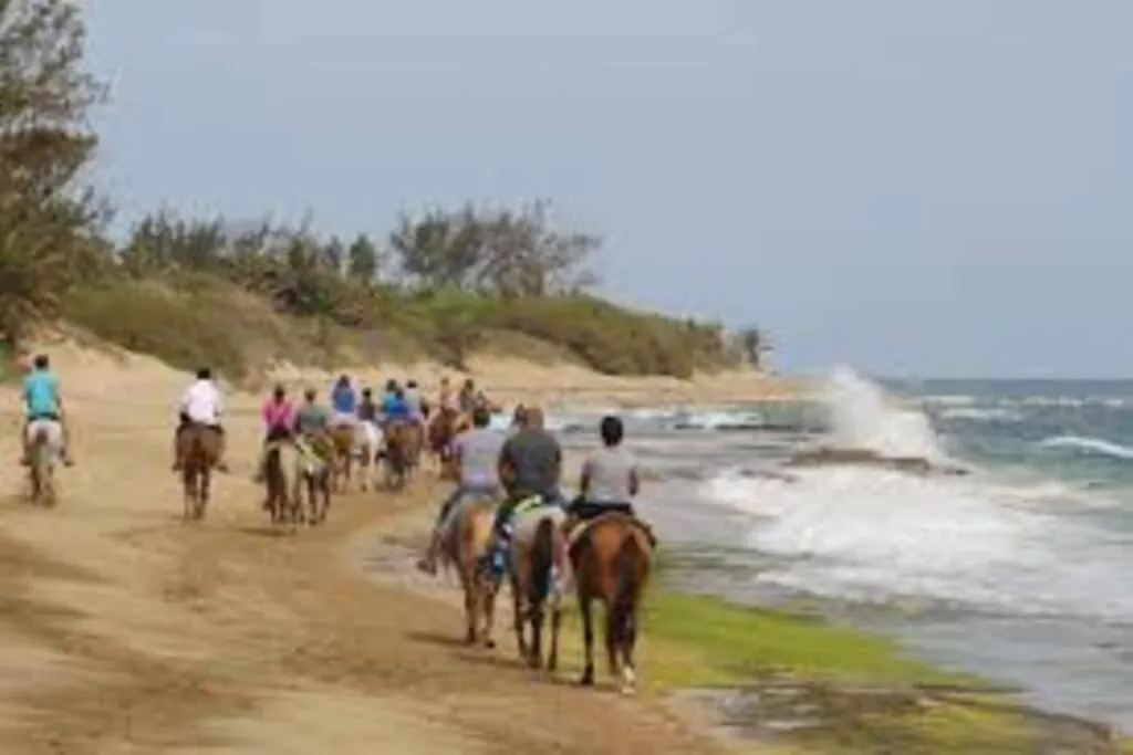 Apartment Haudimar Ph Beachfront Apt 4Br/3Bath Isabela Puerto Rico